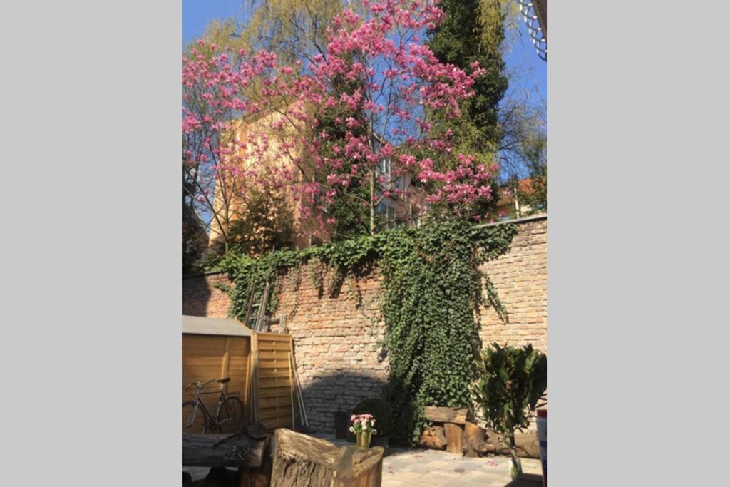 Apartament Beautiful Backyard Remise Berlin Zewnętrze zdjęcie